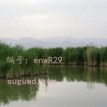 Բ
