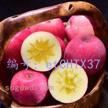 ҵ